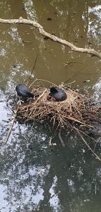 Annelies 08 - Nieuw leven